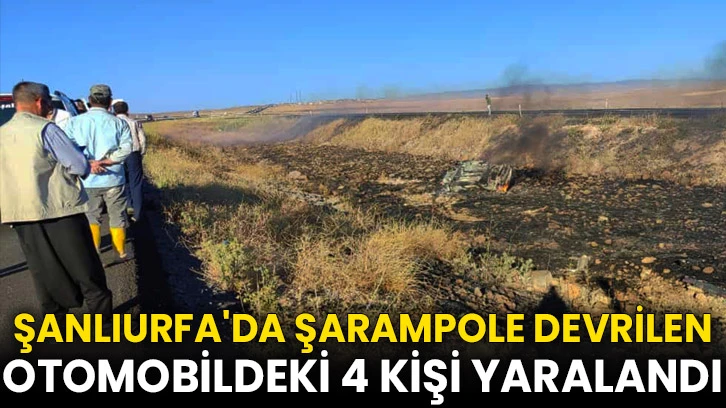 Şanlıurfa'da şarampole devrilen otomobildeki 4 kişi yaralandı