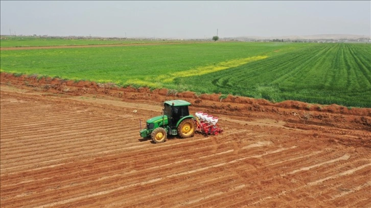 Şanlıurfa'da pamuk tohumları toprakla buluşmaya başladı