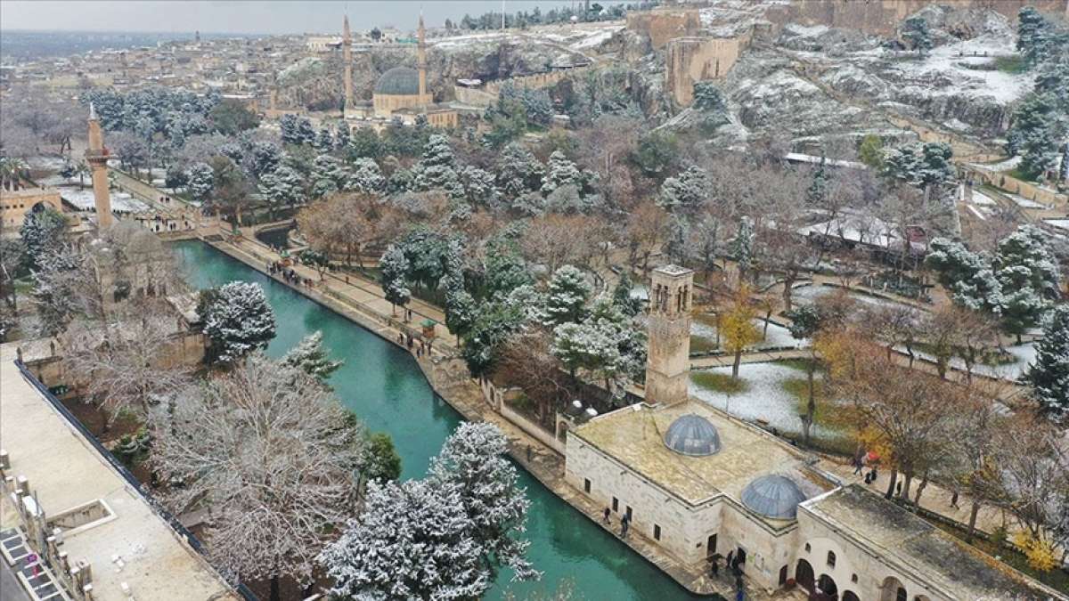 Şanlıurfa'daki tarihi Balıklıgöl 'beyaz örtü'ye büründü