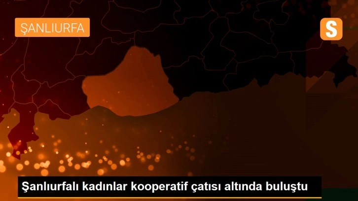 Şanlıurfalı kadınlar kooperatif çatısı altında buluştu