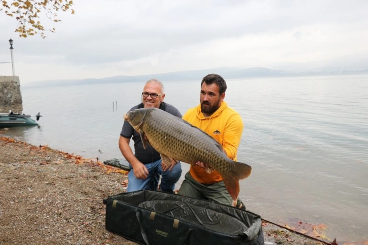 Sapanca Gölü’nde 23 kiloluk sazan yakaladı, sezonun rekorunu kırdı