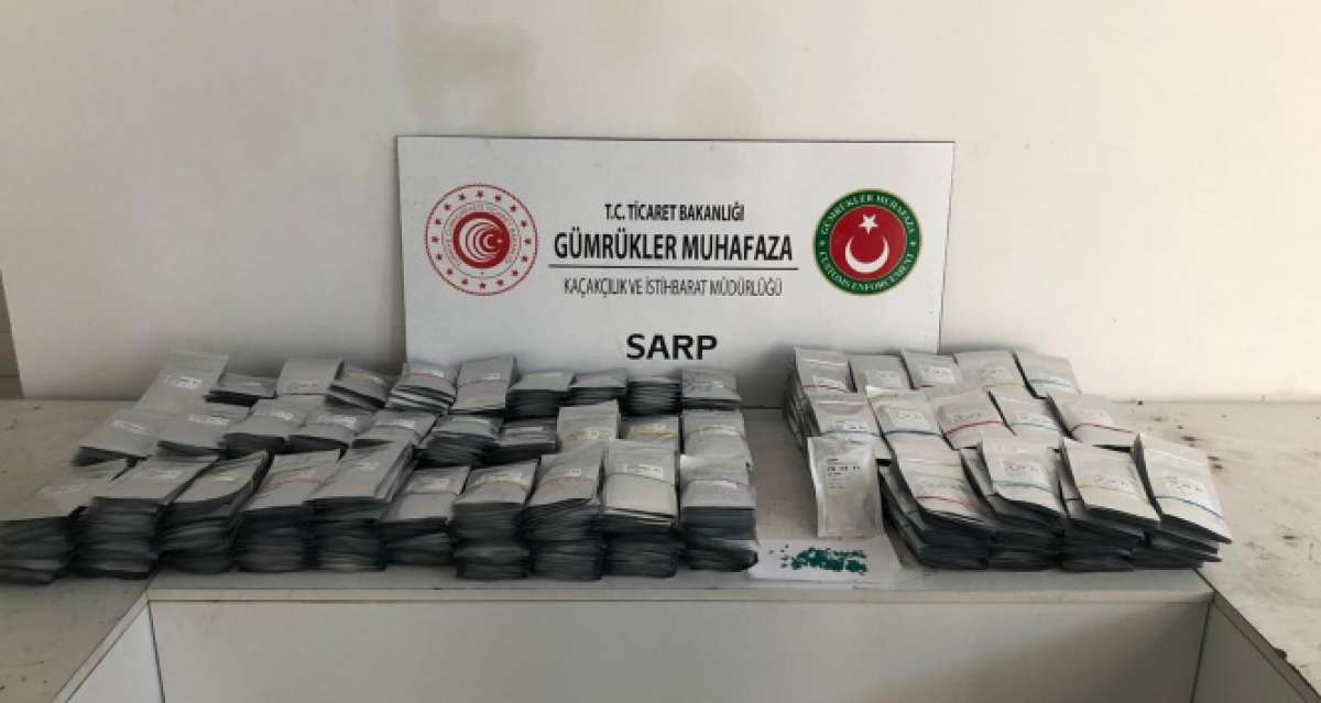 Sarp Sınır Kapısı'nda 771 bin 500 adet hibrit salatalık tohumu ele geçirildi