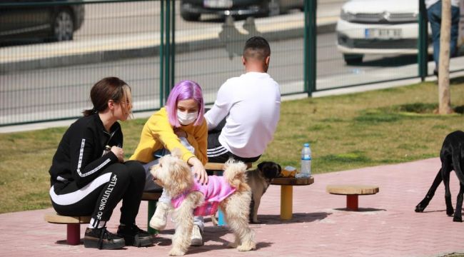 Şehitkamil'de hayvanlar için özel park 