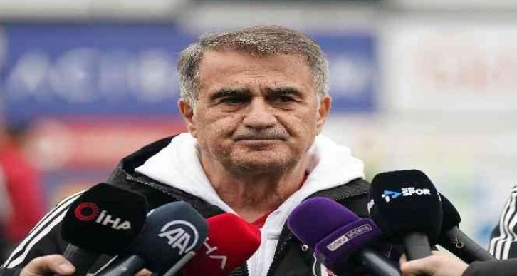 Şenol Güneş: 