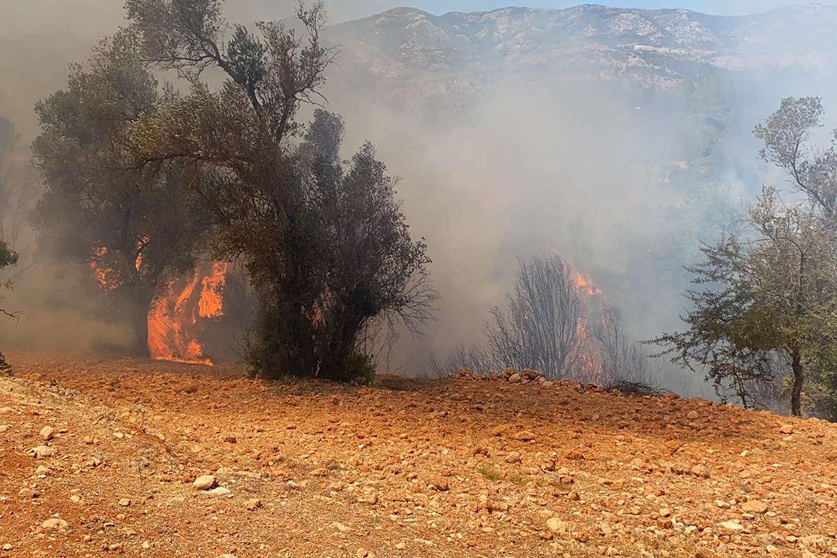 Seydikemer'de bir yangın daha