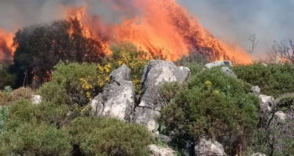 Seydikemer'de makilik alandaki yangın söndürüldü