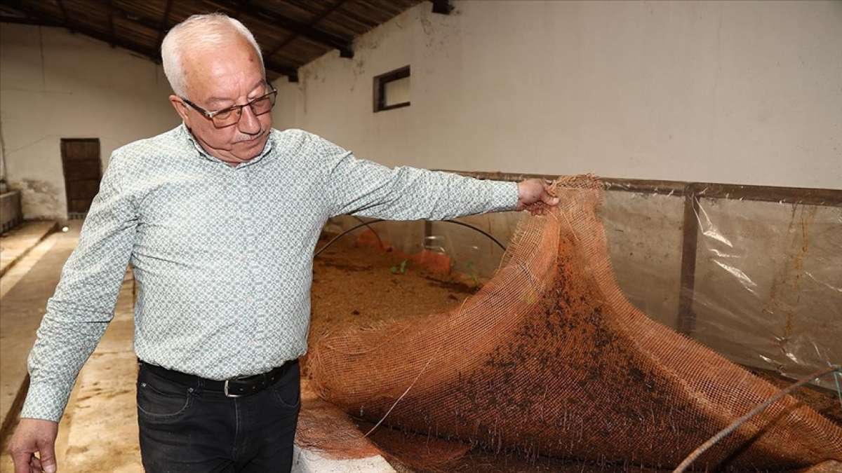 Sıfır Atık Projesi sayesinde solucan gübresi üretmeye başladı