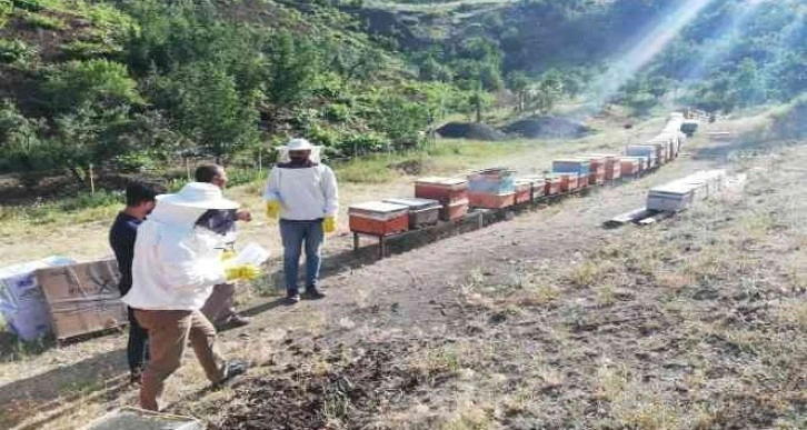 Şırnak’ta uzman eller projesi tamamlandı