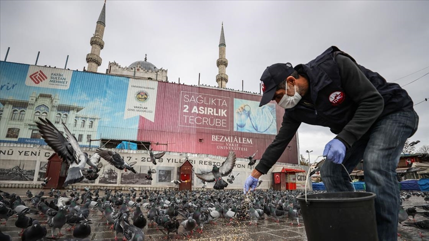 Sokağa çıkma kısıtlamasında sokak hayvanları unutulmadı