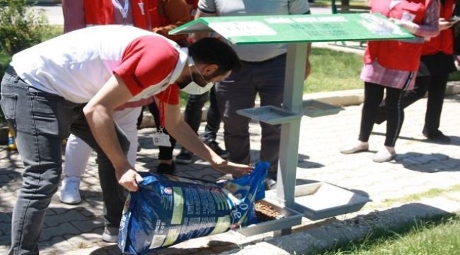 Sokak hayvanları unutulmadı