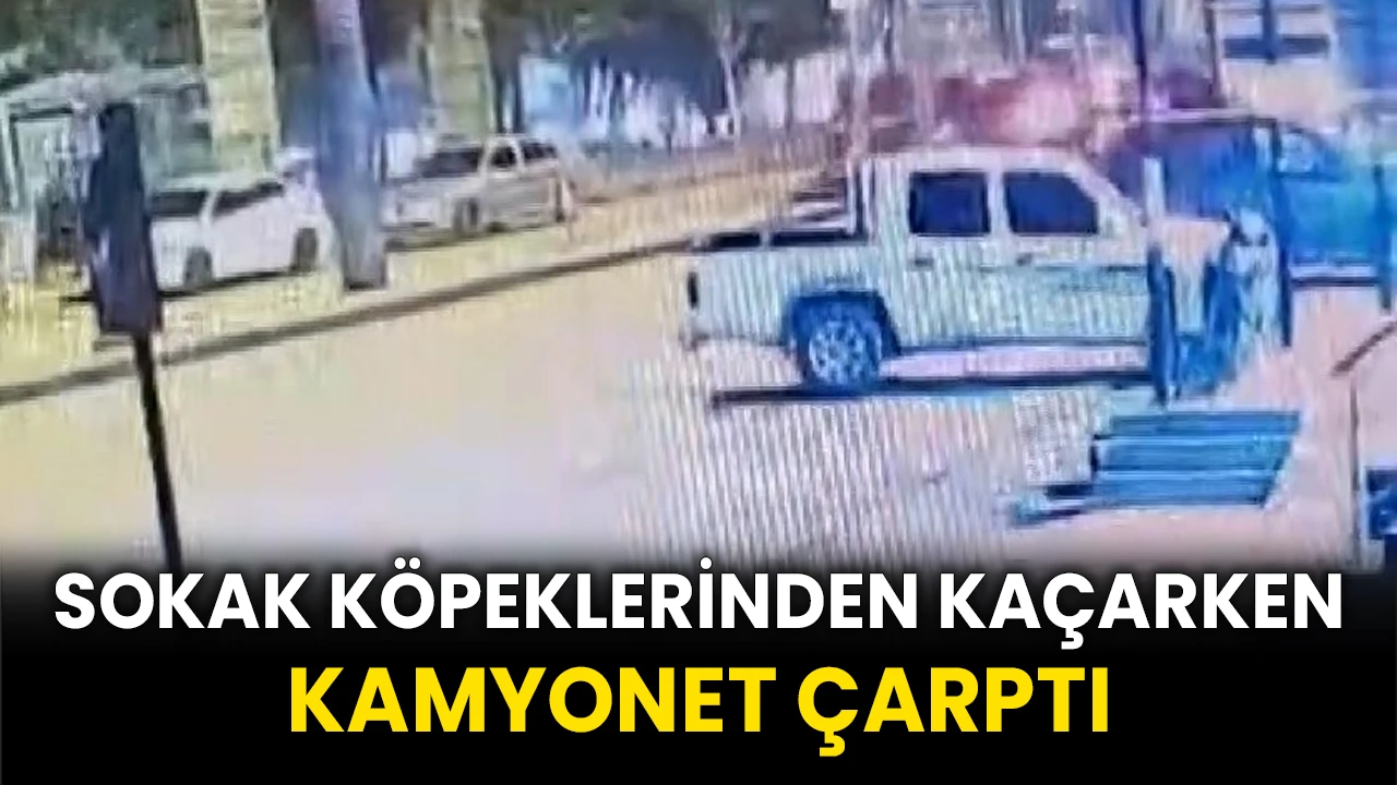 Sokak köpeklerinden kaçarken kamyonet çarptı: Kaza anı kamerada