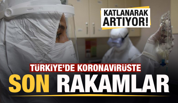 Son dakika: 12 Aralık koronavirüs tablosu! Vaka, Hasta, ölü sayısı ve son durum açıklandı