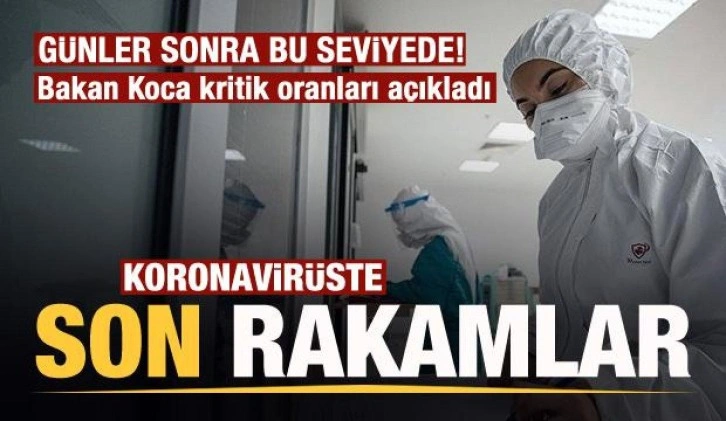 Son dakika: 12 Kasım koronavirüs tablosu açıklandı! Bakan Koca'dan dikkat çeken açıklama!