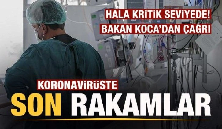 Son dakika: 4 Kasım koronavirüs tablosu açıklandı!