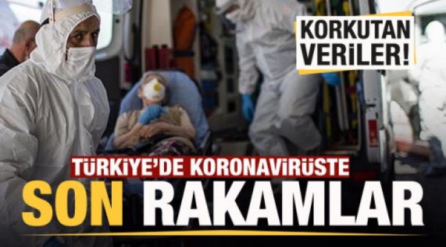 Son dakika haberi: 13 Kasım koronavirüs tablosu! Hasta, ölü sayısı ve son durum açıklandı