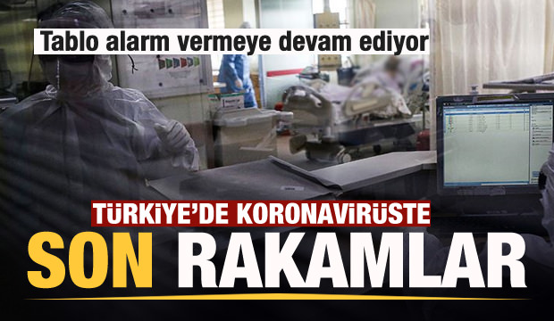 Son dakika haberi: 26 Kasım koronavirüs tablosu! Vaka, Hasta, ölü sayısı ve son durum açıklandı