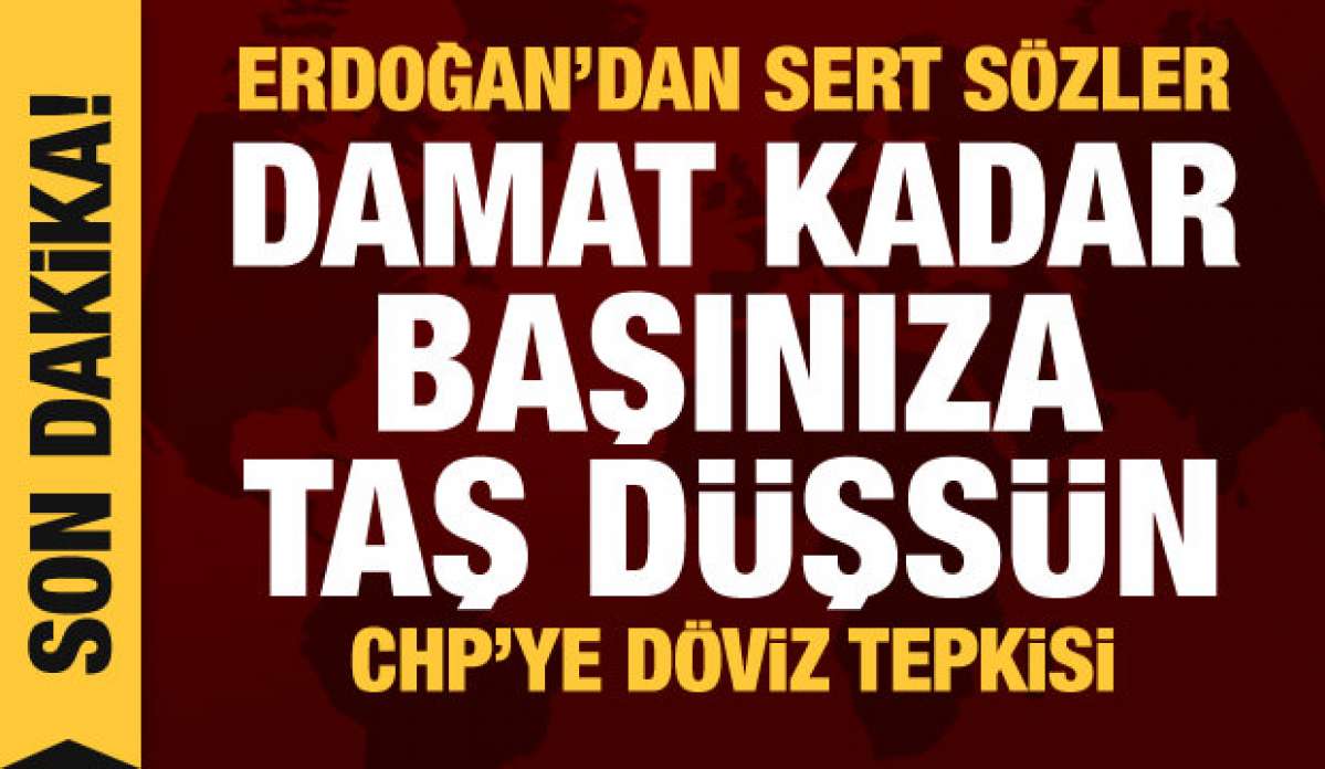 Son dakika haberi! Cumhurbaşkanı Erdoğan: Damat kadar başınıza taş düşsün