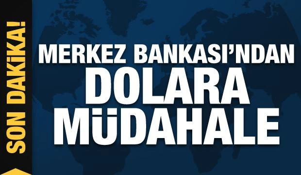 Son dakika haberi: Merkez'den dövize bir müdahale daha