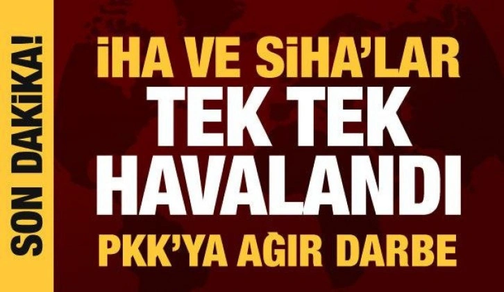 Son dakika haberi: Siirt'te hava harekatı! 5 terörist etkisiz hale getirildi