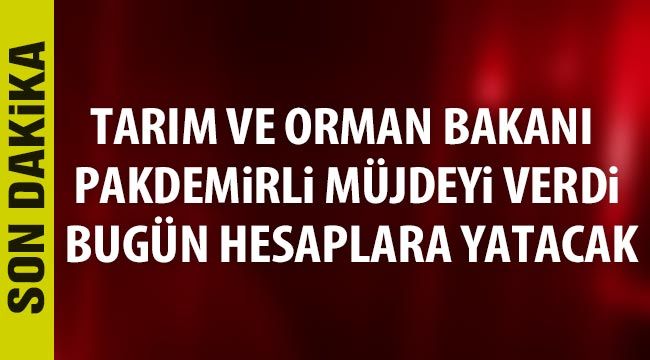 Son dakika: Tarım ve Orman Bakanı Pakdemirli müjdeyi verdi: Bugün hesaplara yatacak