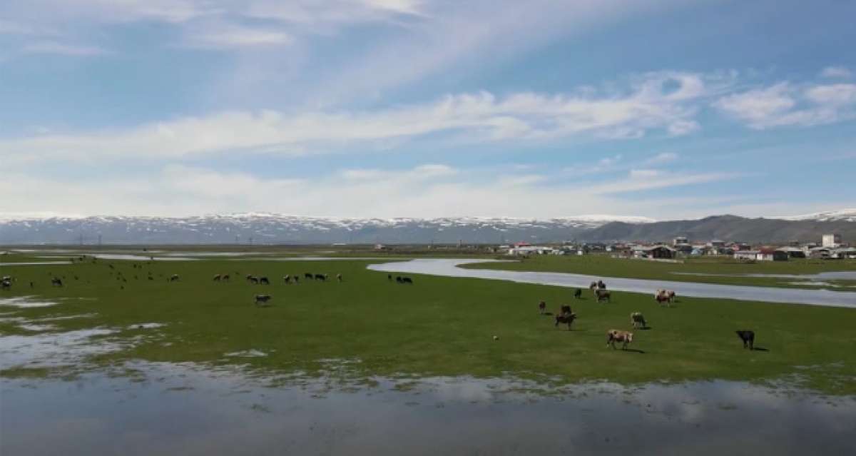 Sular altında kalan Ardahan Ovası drone ile görüntülendi