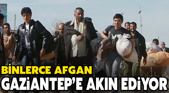 Suriyelilerden sonra binlerce Afgan da Gaziantep'e akın ediyor