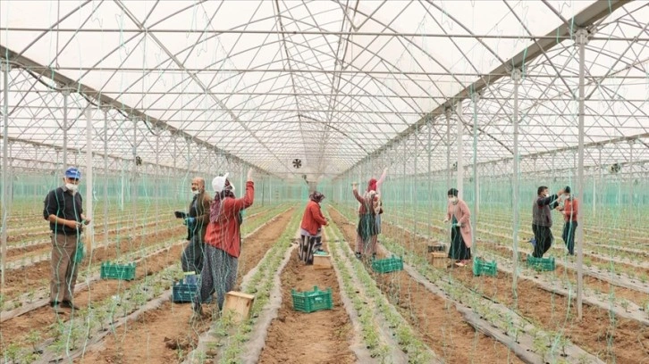 Tarım işçileri ramazan ayında da ekmek mücadelesini sürdürüyor