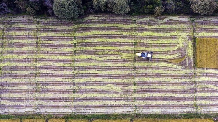 Tarım sektörü, projeler, yeni yatırımlar ve desteklerle büyümeye devam ediyor