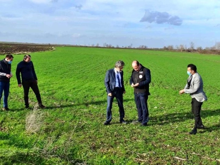 Tekirdağ'da tarım ve hayvancılık faaliyetleri inceleniyor