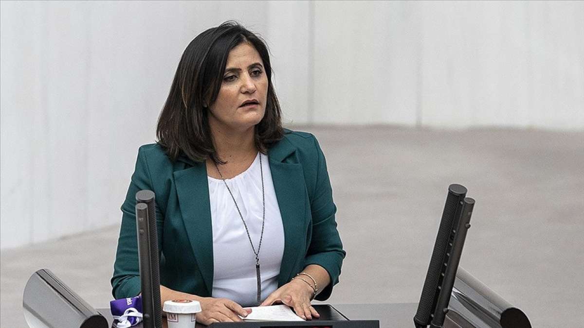 Teslim olan teröristler ifadelerinde HDP Milletvekili Taşdemir'in Gara'ya gittiğini anlatt