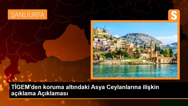 TİGEM'den koruma altındaki Asya Ceylanlarına ilişkin açıklama Açıklaması