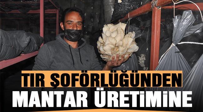 Tır şoförlüğünden mantar üretimine 