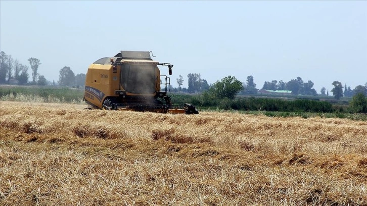 TMO ocak ayı hububat satışlarına Aralık 2021 fiyatlarıyla devam edecek