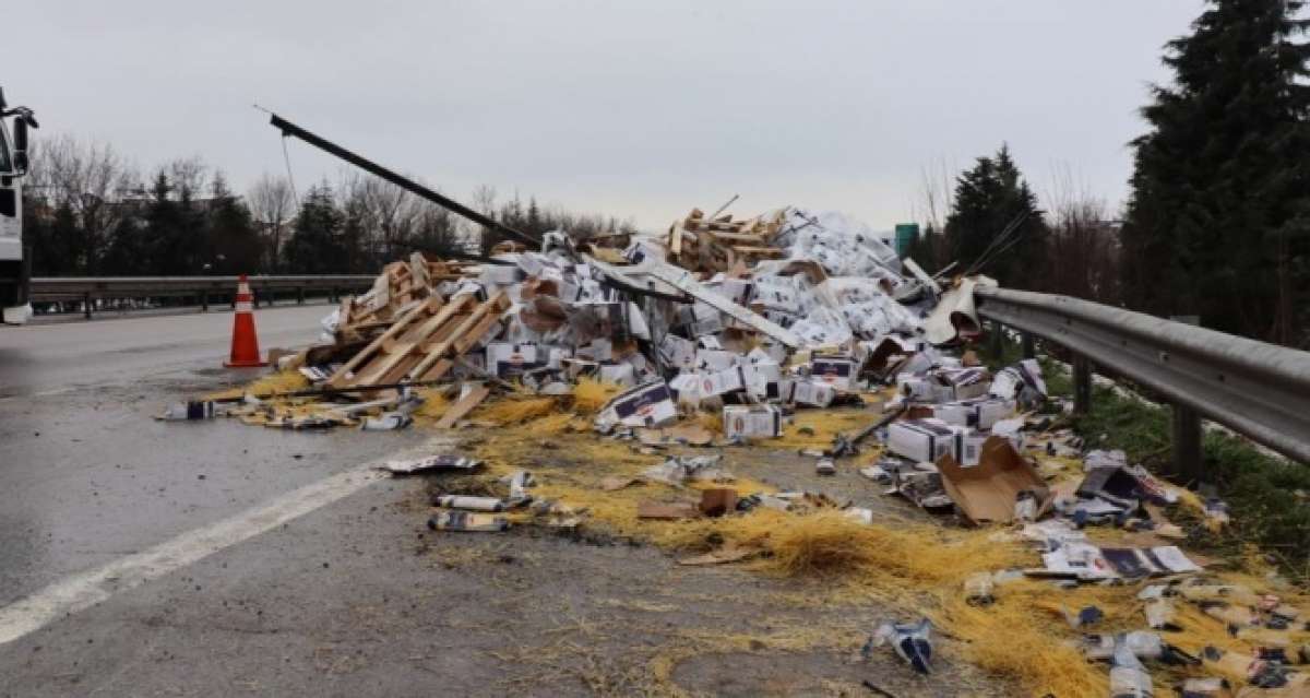 Tonlarca bakliyat TEM otoyoluna savruldu: 1 yaralı