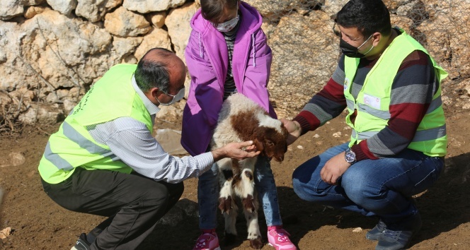 Toros Dağları'nda yürek ısıtan görüntüler