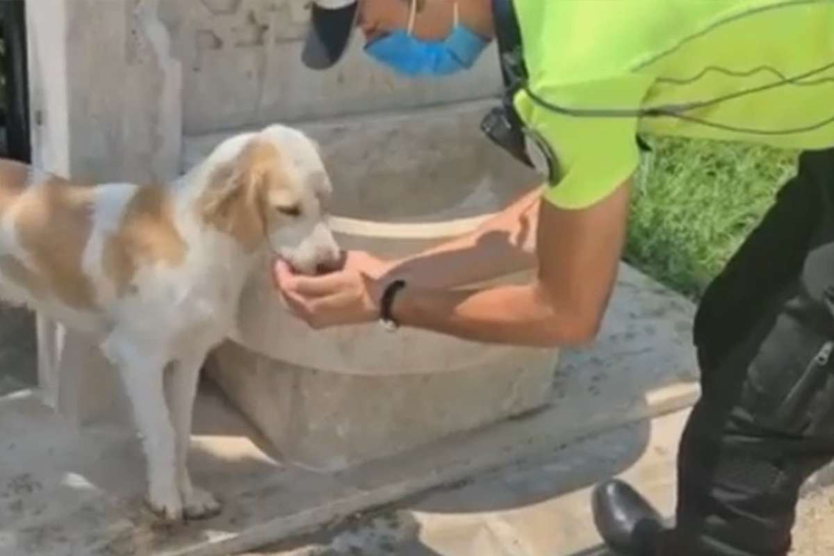 Trafik polisinden yüreklere dokunan hareket