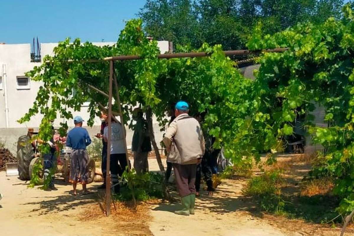 Traktörün üzerinde kalp krizi geçirip tekerin altında kaldı