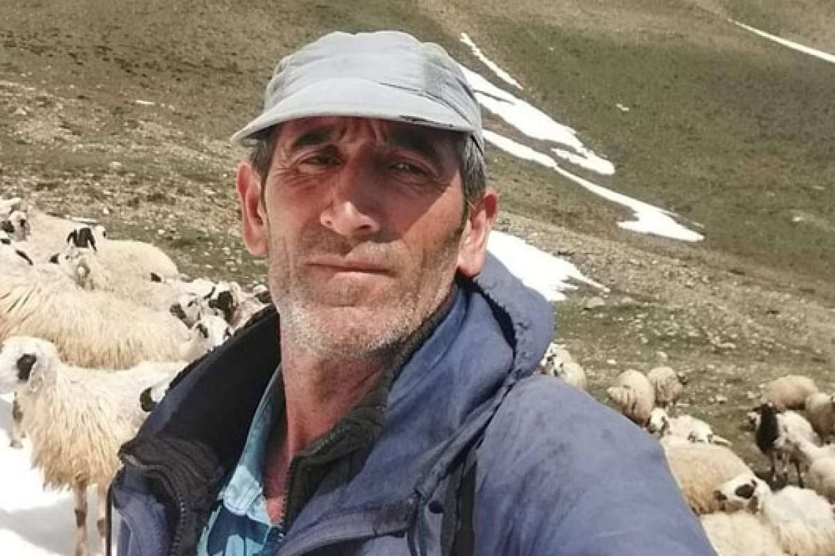 Tunceli'de ayı saldırısına uğrayan vatandaş yaralandı