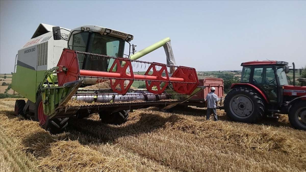 Türkiye'nin önemli hububat merkezlerinden Edirne'de buğday hasadı sona erdi