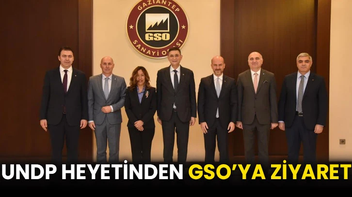 UNDP heyetinden GSO’ya ziyaret