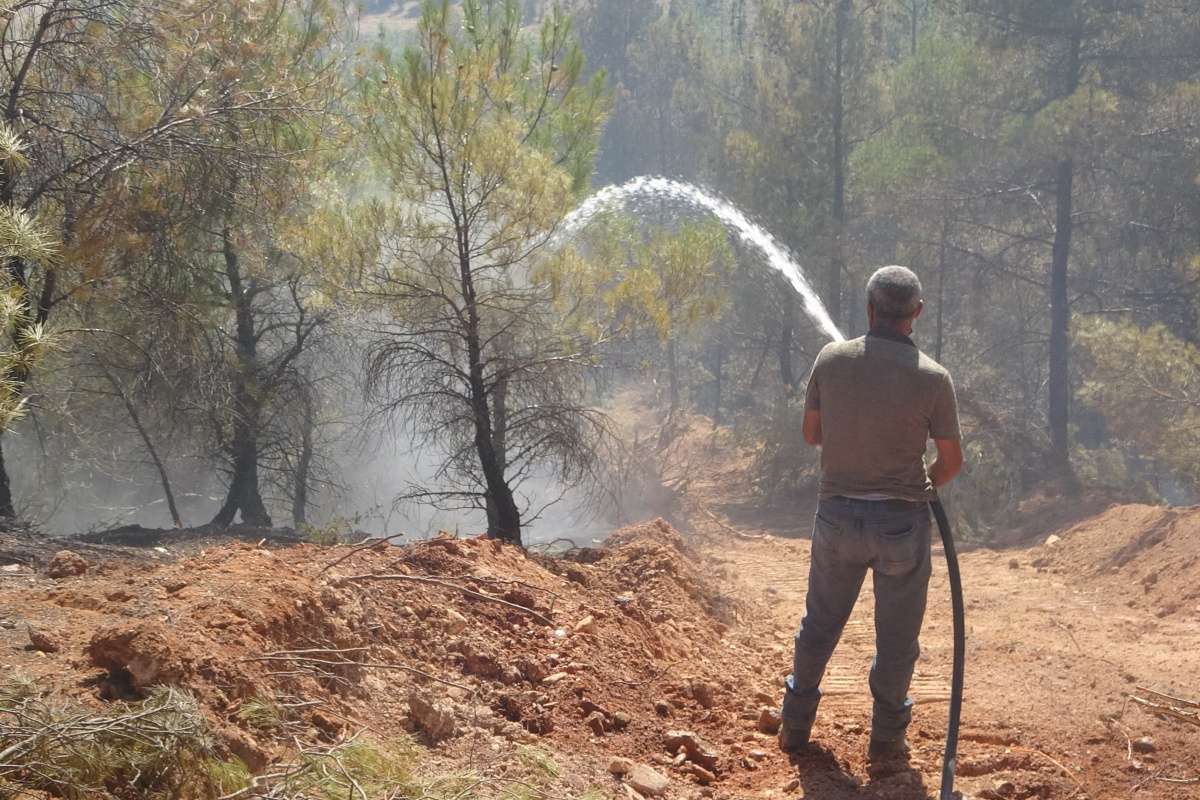 Uşak'ta çıkan orman yangını büyümeden söndürüldü