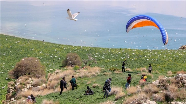 Van Gölü'ndeki Çarpanak Adası fotoğraf tutkunlarını ağırladı