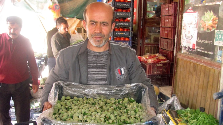 Yılın ilk yerli badem çağlası 25 liradan satışa sunuldu