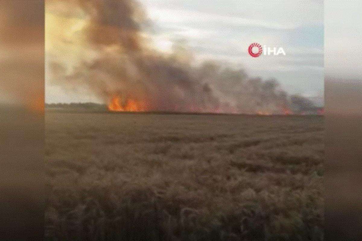 Yüksek gerilim hattı koptu, buğday tarlası alev alev yandı