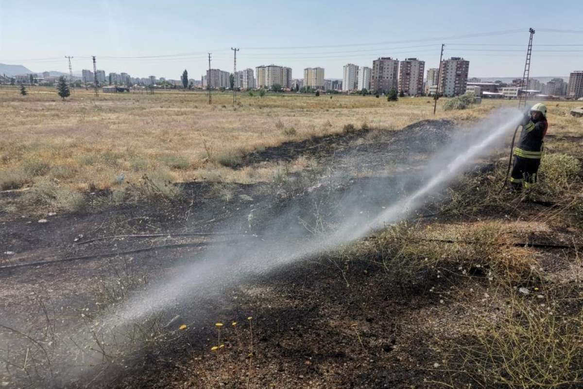 Yüksek gerilim hattına konan kargalar yangına neden oldu