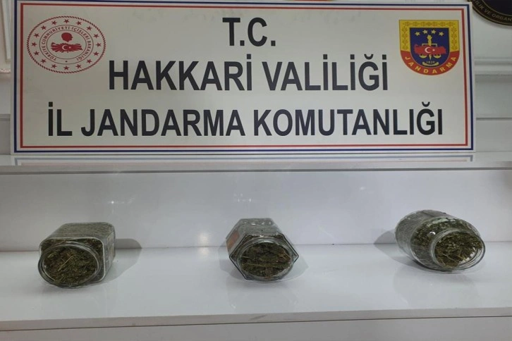 Yüksekova kırsalında 2 kilo 530 gram kubar esrar ele geçirildi