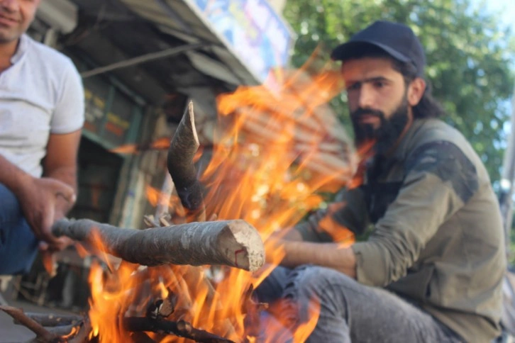 Zeytin hasadında geleneksel yöntem ’sırık’