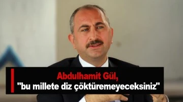 Abdulhamit Gül, &quot;bu millete diz çöktüremeyeceksiniz&quot;