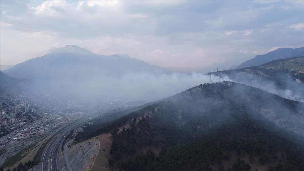 Adana'nın Pozantı ilçesinde orman yangını çıktı