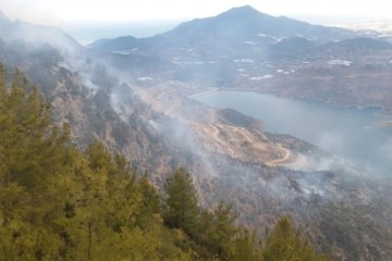 Anamur'da orman yangını